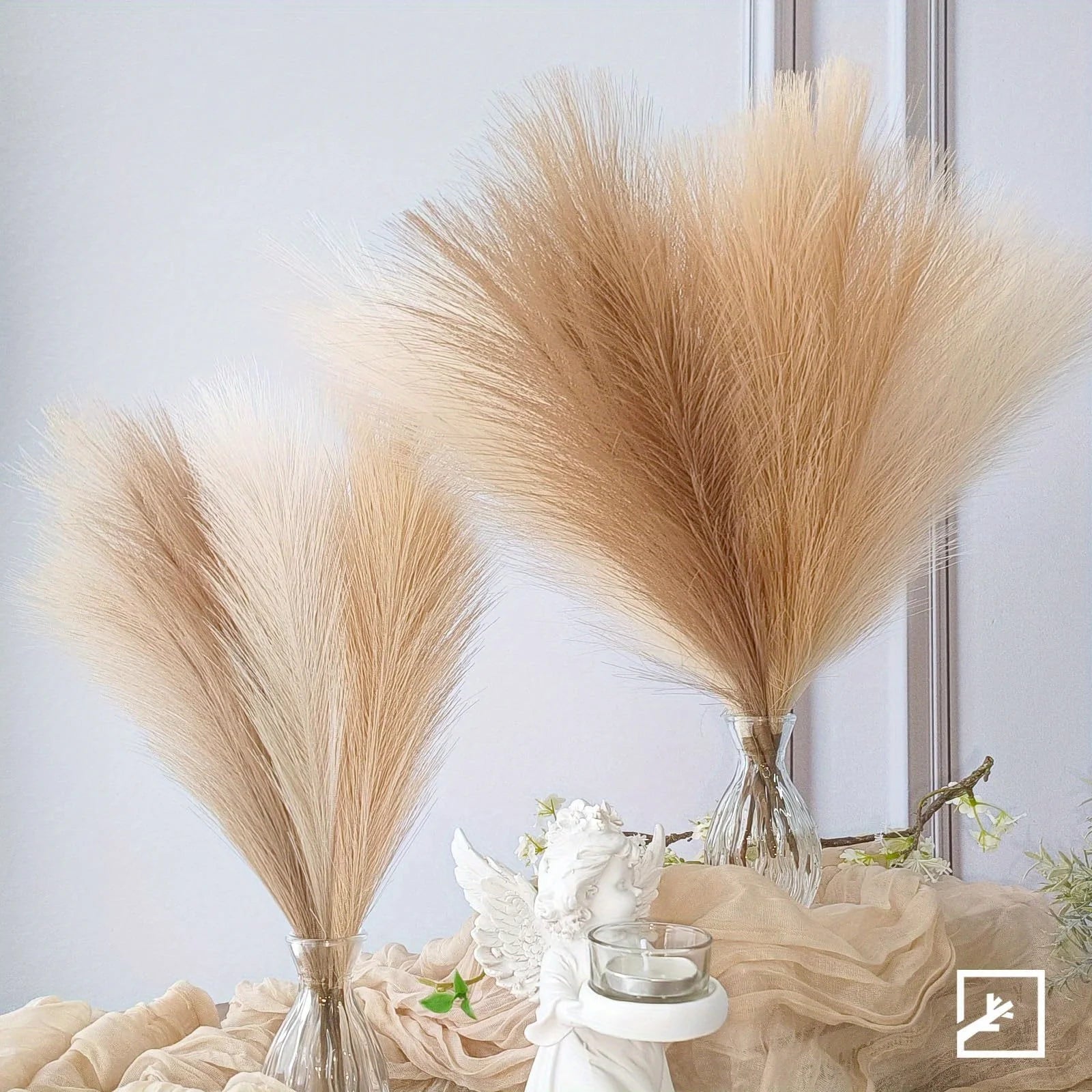 Pampas Grass