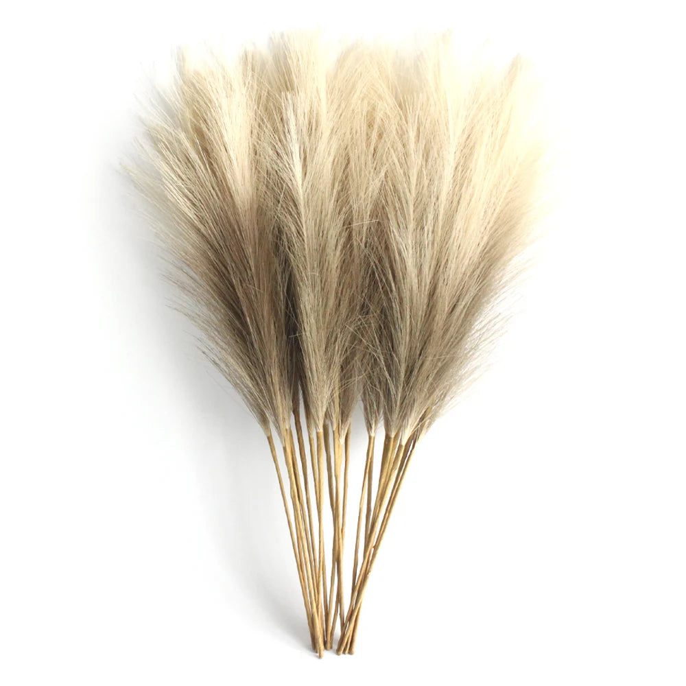 Pampas Grass